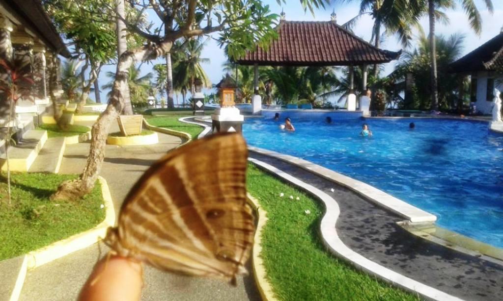 Bali Sunset Hotel Negara  Ngoại thất bức ảnh